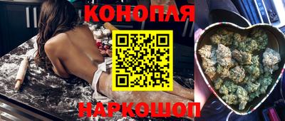сатива Канаш